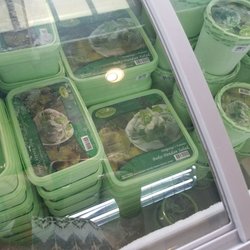 Nathaniel’s - Awesome buko pandan