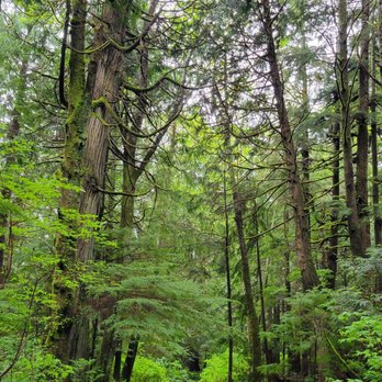 Cape Flattery - Hiking Near Me - Neah Bay, Washington Cape Flattery - Hiking Near Me - Neah Bay, Washington