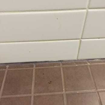 Microtel Inn & Suites by Wyndham Estevan - What can only be feces in the shower... Yuck! - Hotels Near Me - Estevan, Saskatchewan Microtel Inn & Suites by Wyndham Estevan - What can only be feces in the shower... Yuck! - Hotels Near Me - Estevan, Saskatchewan