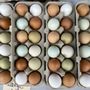 Photo of Channel Islands Harbor Farmers Market