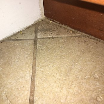 Hydradry - Kitchen corner - Damage Restoration Near Me - Apopka, Florida Hydradry - Kitchen corner - Damage Restoration Near Me - Apopka, Florida