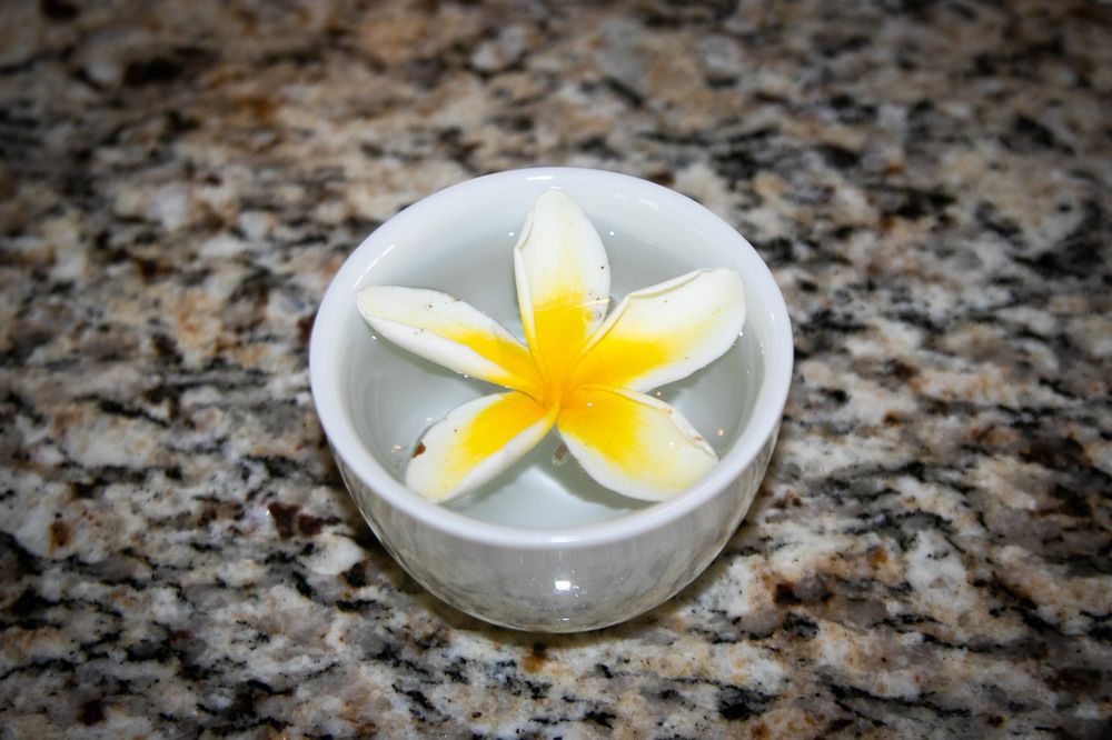 Blossoms Affordable Childcare - childcare center in Cedar Hills, UT