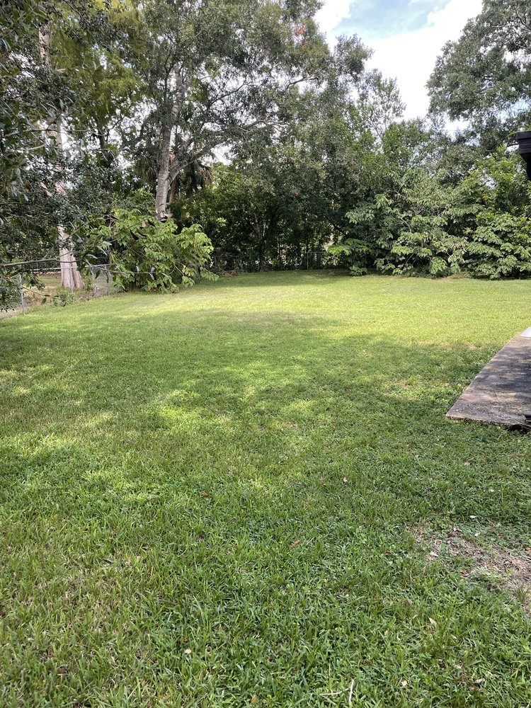 Slide of Bay Area Landscape and Pressure Washing