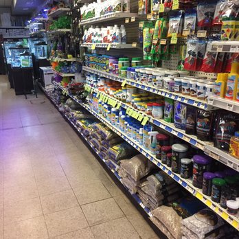Sailfin Pet Shop - Pet Stores Near Me - Champaign, Illinois Sailfin Pet Shop - Pet Stores Near Me - Champaign, Illinois