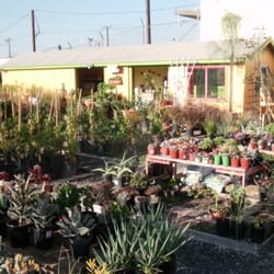 Performance Nursery Wholesale