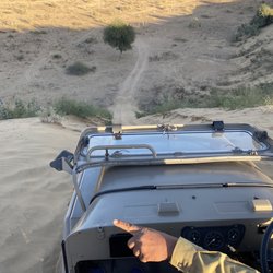 MJD Travel Services - Ridin' a jeep in the desert!