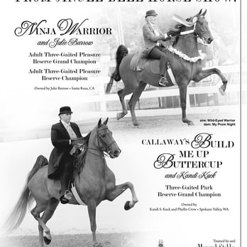Monarch Stables - Horseback Riding Near Me