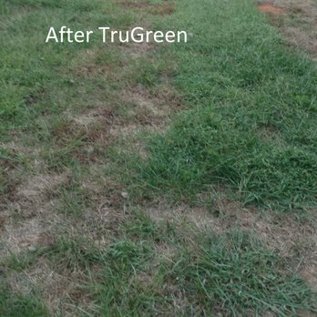TruGreen Lawn Care - Tree Services Near Me - Charlotte, North Carolina TruGreen Lawn Care - Tree Services Near Me - Charlotte, North Carolina