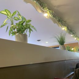 Decor Decor
