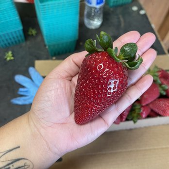 Strawberry Stand - Food Stands Near Me - Lodi, California Strawberry Stand - Food Stands Near Me - Lodi, California