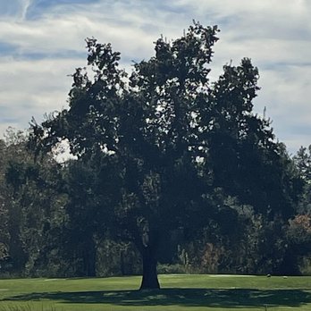 Ione Tree Service - Tree Services Near Me Ione Tree Service - Tree Services Near Me