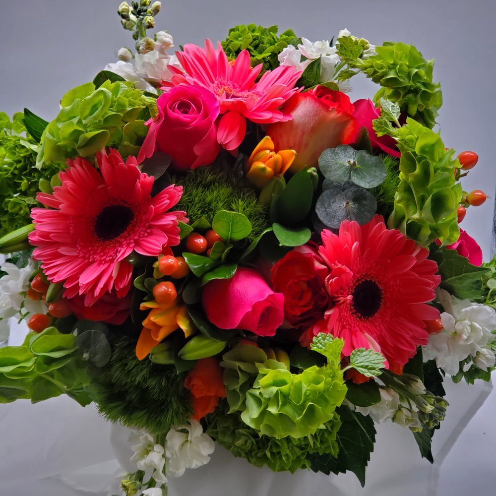 VANDERBLOOM 10 Photos 3700 NW 124th Ave, Coral Springs, Florida