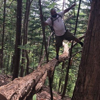 Aiea Loop Trail - Walking the plank - Hiking Near Me - Aiea, Hawaii