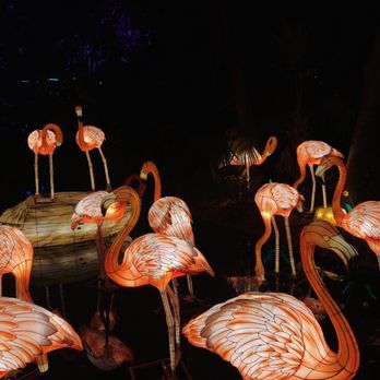 Jungle Island - Amusement Parks Near Me - Miami, Florida Jungle Island - Amusement Parks Near Me - Miami, Florida