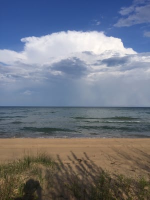 Friends of Negwegon State Park by null