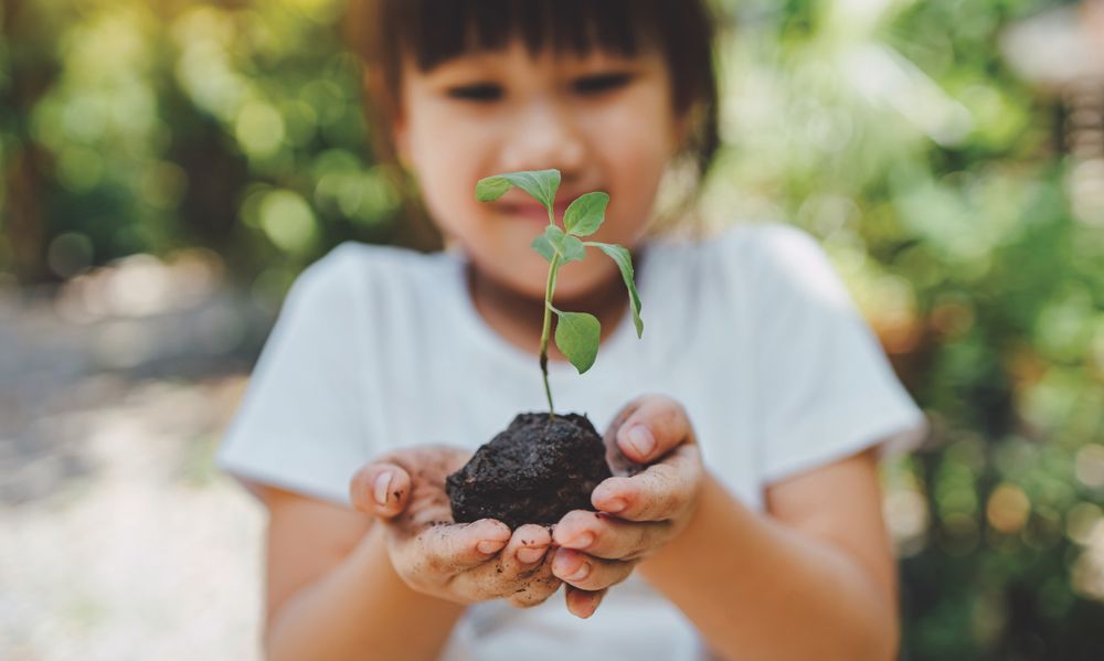 Children's Home Society Of California - social services organization in Long Beach, CA