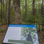Photo of Saco Heath Preserve