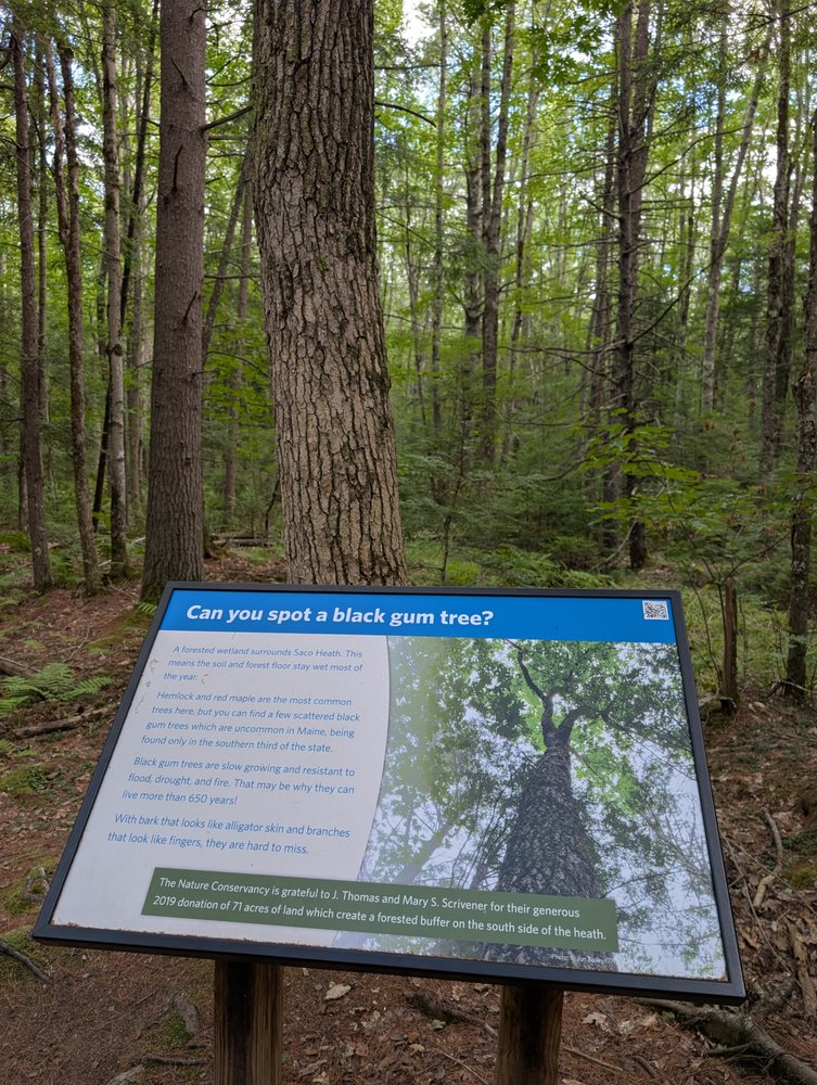 Saco Heath Preserve Logo