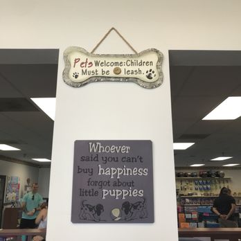 Puppies Galore & More - Love it!! - Pet Stores Near Me - Jacksonville, Florida Puppies Galore & More - Love it!! - Pet Stores Near Me - Jacksonville, Florida