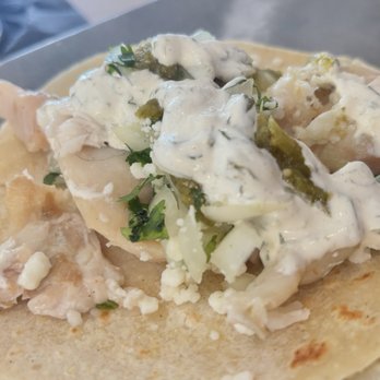 Tripletail Seafood & Spirits - Fish tacos - Seafood Near Me - Sarasota, Florida Tripletail Seafood & Spirits - Fish tacos - Seafood Near Me - Sarasota, Florida