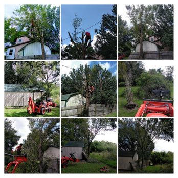 Vonner Family Tree Service - China job - Tree Services Near Me Vonner Family Tree Service - China job - Tree Services Near Me