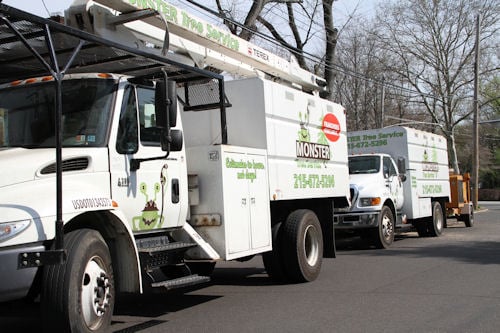 Monster Tree Service of Minneapolis - tree service in Eden Prairie, MN