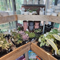 Inside plants