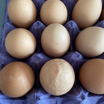 Billy's Egg Farm - Weird looking egg and better double check to see if any leaking - Specialty Food Near Me - Chino, California Billy's Egg Farm - Weird looking egg and better double check to see if any leaking - Specialty Food Near Me - Chino, California