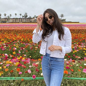 The Flower Fields - Venues & Event Spaces Near Me - Carlsbad, California The Flower Fields - Venues & Event Spaces Near Me - Carlsbad, California