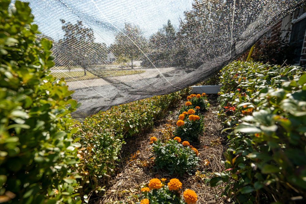 Slide of Roof Masters Roofing Solutions