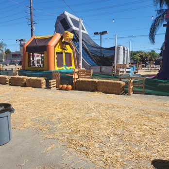 Sonshine Pumpkin Patch - Pumpkin Patches Near Me - La Habra, California