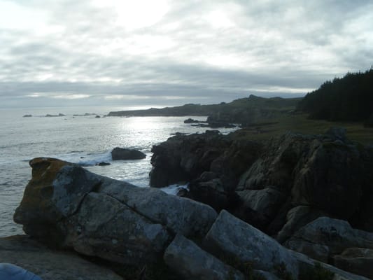 Salt Point State Park by null