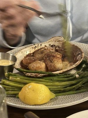 Cork 'n Cleaver by null