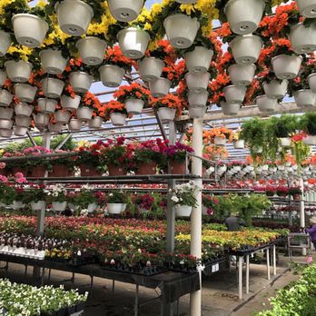 Pesche's Flowers - Nurseries & Gardening Near Me - Des Plaines, Illinois