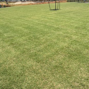 Almendarez Landscaping - Landscaping Near Me Almendarez Landscaping - Landscaping Near Me