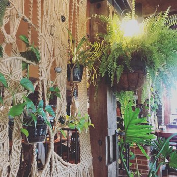 Yellow Deli - Coffee & Tea Near Me - Chattanooga, Tennessee Yellow Deli - Coffee & Tea Near Me - Chattanooga, Tennessee