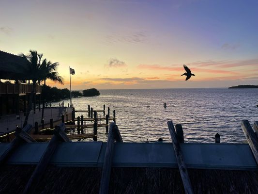 Snappers Oceanfront Restaurant & Bar by null
