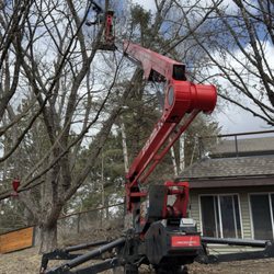 Balsam Tree & Shrub Care