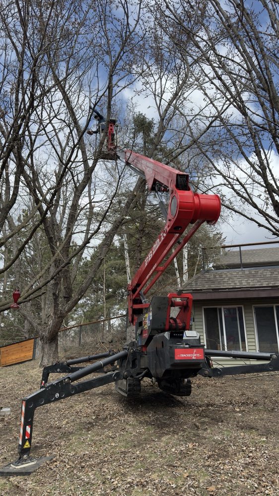 Balsam Tree & Shrub Care - tree service in Marine on St Croix, MN