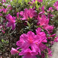 Color Country Nursery