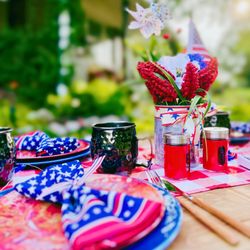 NEW! - "American Heart" Patriotic Picnic