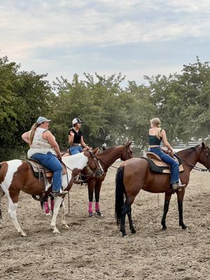 4 Horse Ranch by null
