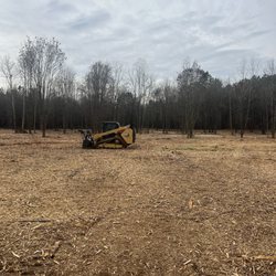 Mitchell Skidsteer Services - Forestry mulching