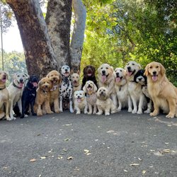 Buddies - The Buddies 3