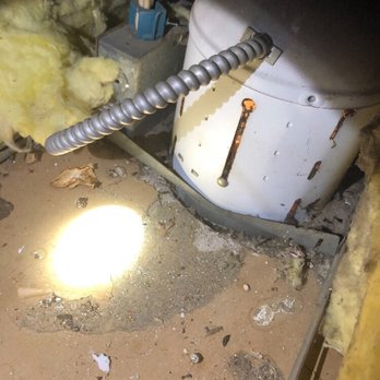 RatPact Ext - Pest Control Near Me RatPact Ext - Pest Control Near Me