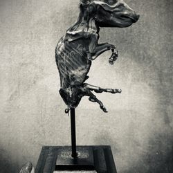 Bizarre Antiques & Oddities