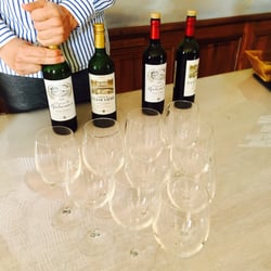 Château La Louvière - Wine tasting