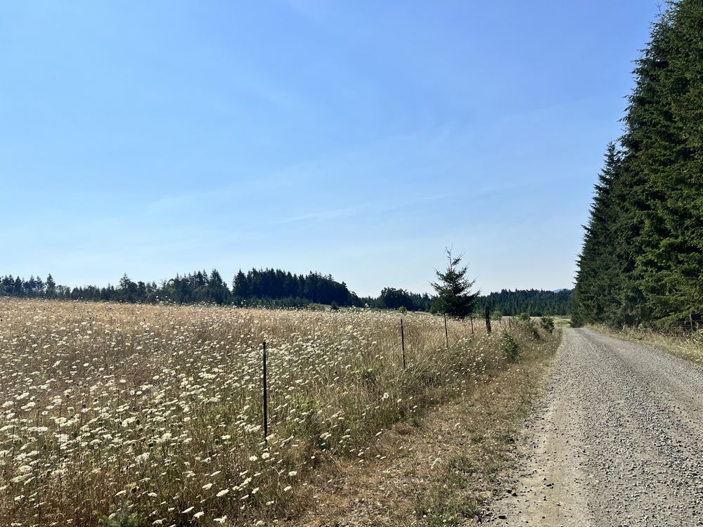 Greer Brand Industries - tree service in Salem, OR