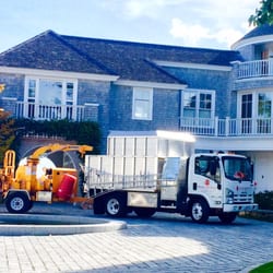 Childs Arborists