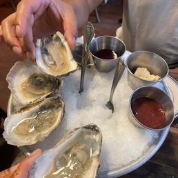 Oysters
